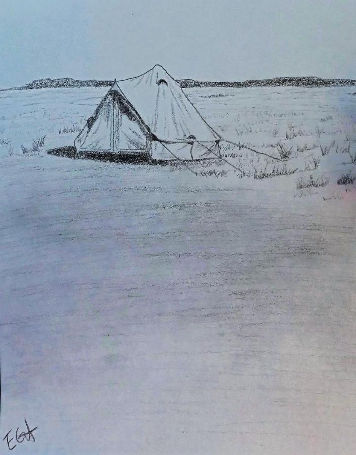 Starlight Tent 2 Голбрук Екстер'єр фото