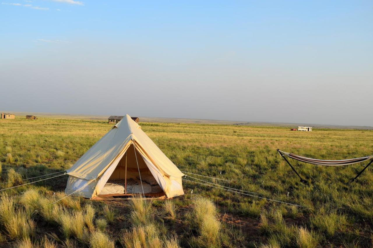 Starlight Tent 2 Голбрук Екстер'єр фото