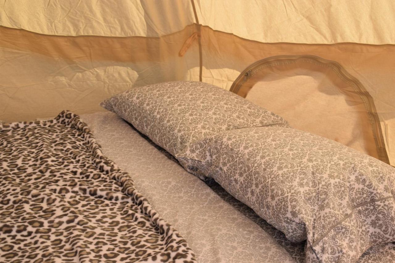 Starlight Tent 2 Голбрук Екстер'єр фото